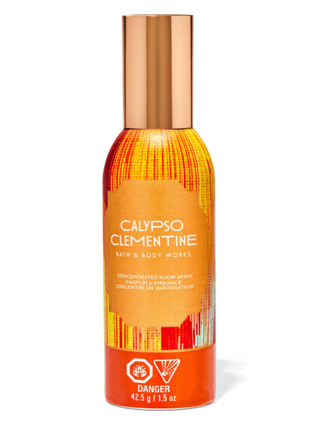 Концентрований спрей для дому Bath and Body Works - Spiced Pumpkin & Patchouli