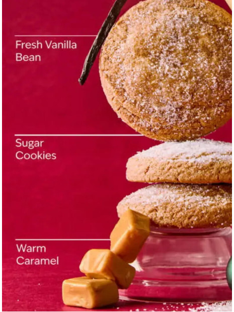 Концентрований спрей для дому Bath and Body Works - Vanilla Bean Noel