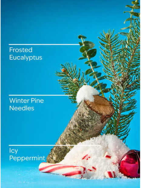 Концентрований спрей для дому Bath and Body Works - Frosted Forest