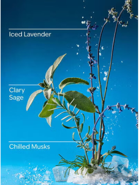 Змінний блок Iced Blue Lavender Bath & Body Works