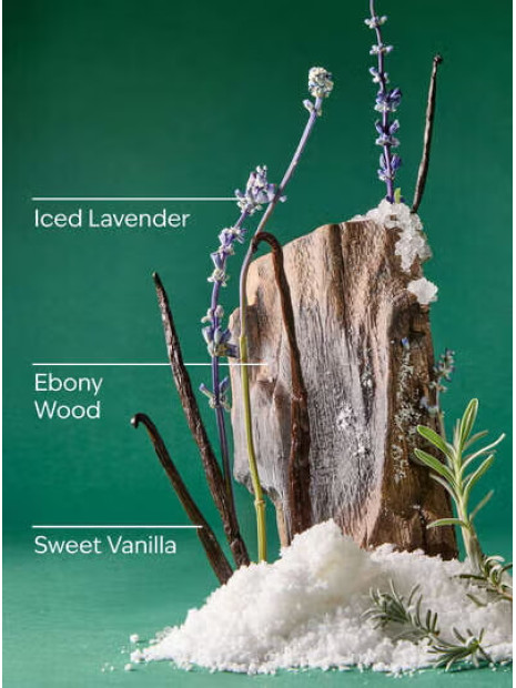 Змінний блок Iced Vanilla Woods Bath & Body Works