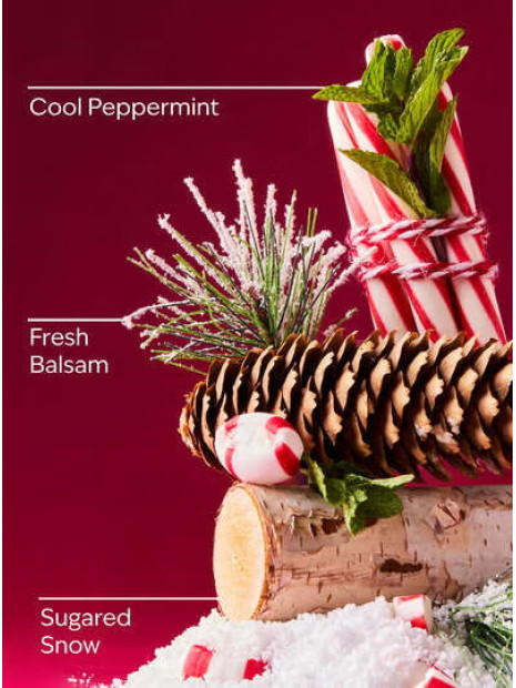 Крем для тіла з олією ши Twisted Peppermint Bath and Body Works