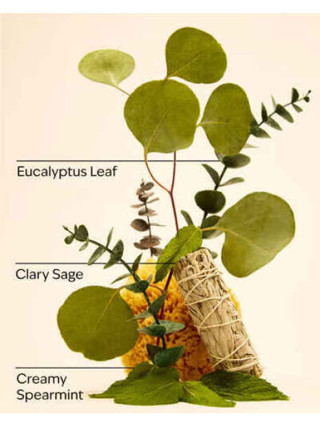 Свічка Eucalyptus Mint Bath and Body Works