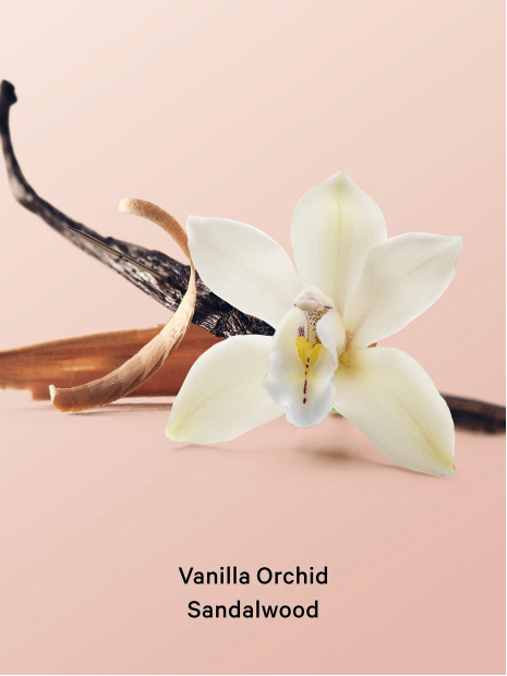Скраб для тіла Vanilla Orchid Sandalwood від Victoria's Secret