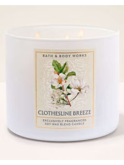 Свічка Clothesline Breeze Bath and Body Works