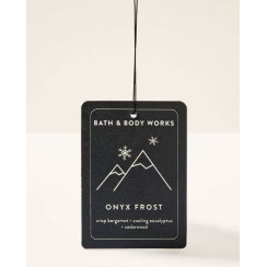 Підвісний ароматизатор Bath & Body Works Onyx Frost