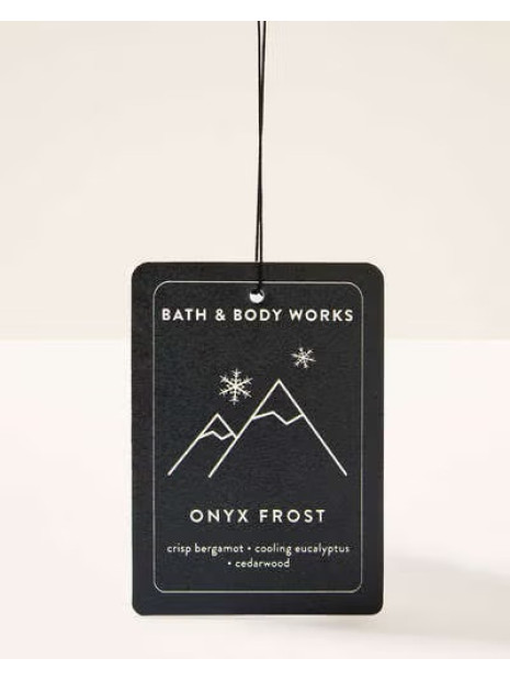 Підвісний ароматизатор Bath & Body Works Onyx Frost