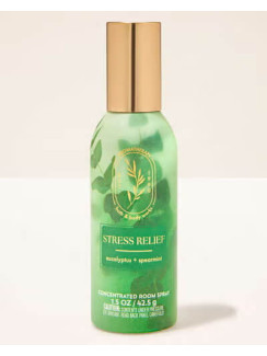 Концентрований спрей для дому Bath and Body Works - Eucalyptus Spearmint