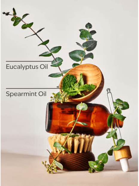 Крем для тіла з олією ши Stress Relief By Bath&Body Works - Eucalyptus Spearmint