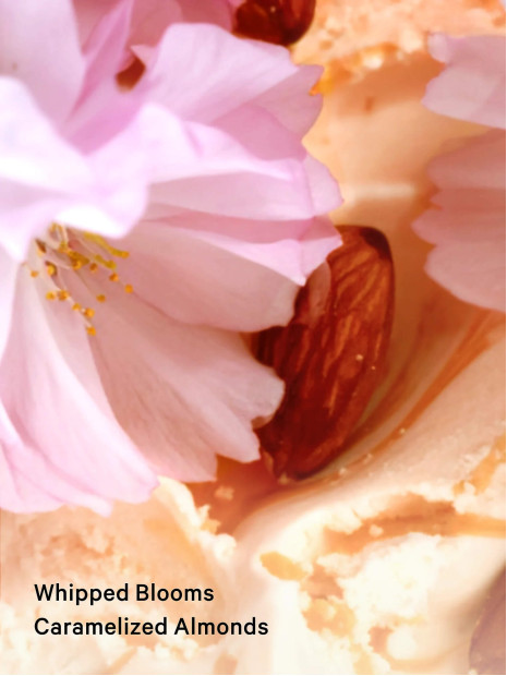Парфумований спрей Victoria’s Secret Velvet Petals Brulee