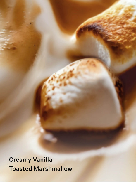 Лосьйон Bare Vanilla Brulee Victoria’s Secret