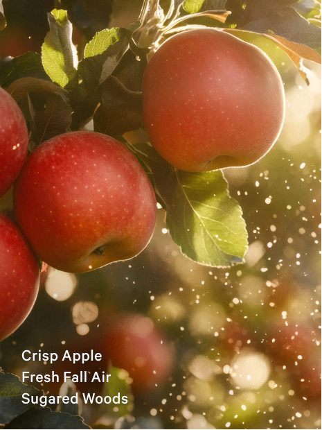 Парфумований спрей Victoria’s Secret Dreamy Apple Orchard