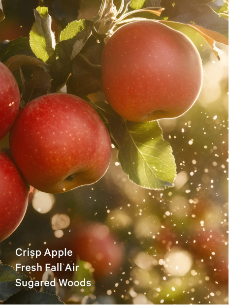 Лосьйон Dreamy Apple Orchard Victoria’s Secret